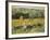 Limetz Meadow, 1887-Claude Monet-Framed Giclee Print