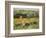 Limetz Meadow, 1887-Claude Monet-Framed Giclee Print