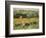 Limetz Meadow, 1887-Claude Monet-Framed Giclee Print