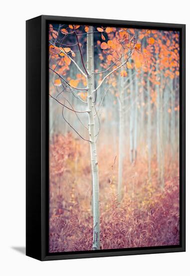 Liminal Fall-Ursula Abresch-Framed Premier Image Canvas