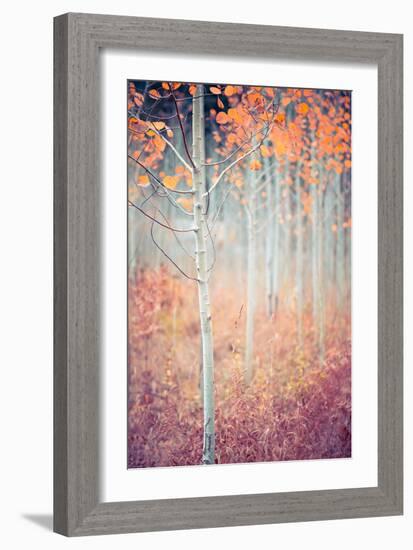 Liminal Fall-Ursula Abresch-Framed Photographic Print