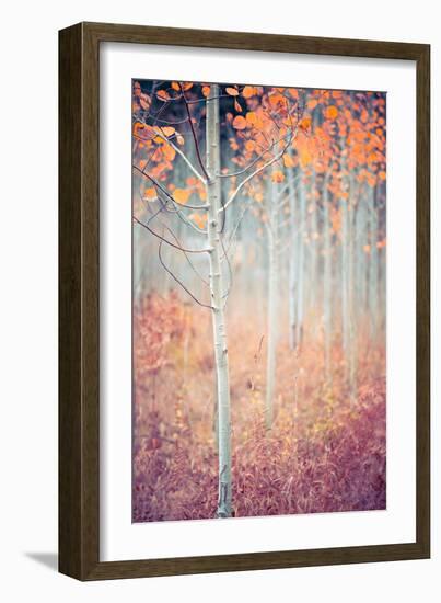 Liminal Fall-Ursula Abresch-Framed Photographic Print