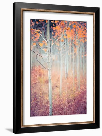 Liminal Fall-Ursula Abresch-Framed Photographic Print