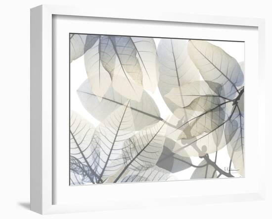 Limitless Bunch V2-Albert Koetsier-Framed Art Print