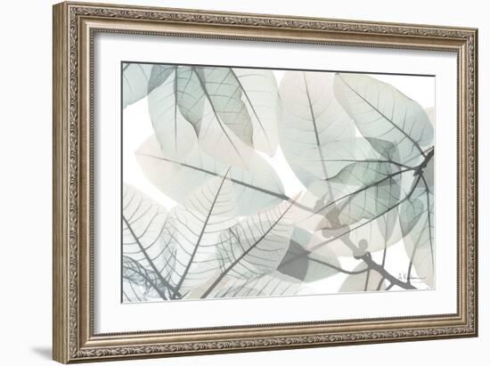 Limitless Bunch-Albert Koetsier-Framed Art Print