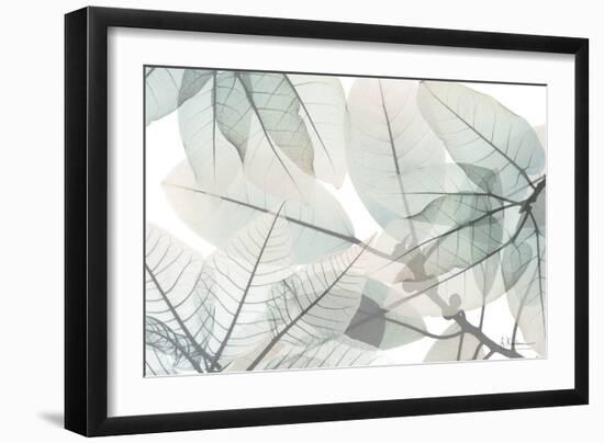 Limitless Bunch-Albert Koetsier-Framed Art Print