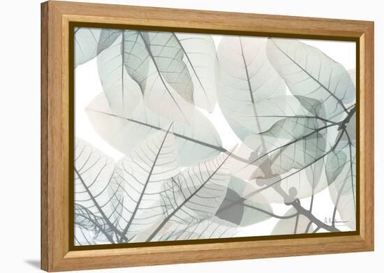 Limitless Bunch-Albert Koetsier-Framed Stretched Canvas