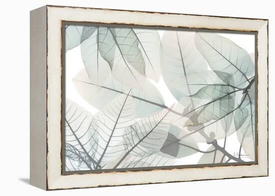 Limitless Bunch-Albert Koetsier-Framed Stretched Canvas