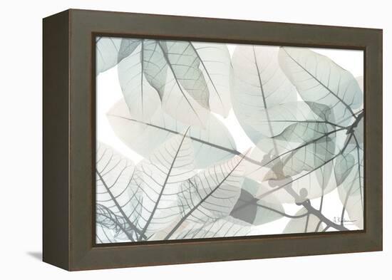 Limitless Bunch-Albert Koetsier-Framed Stretched Canvas