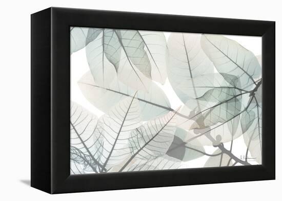 Limitless Bunch-Albert Koetsier-Framed Stretched Canvas