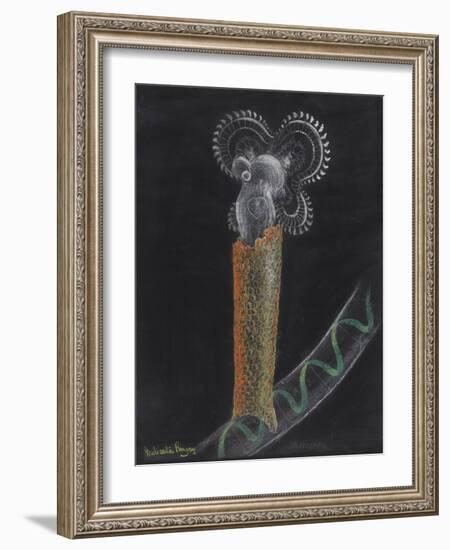 Limnias Melicerta: Rotifer-Philip Henry Gosse-Framed Giclee Print