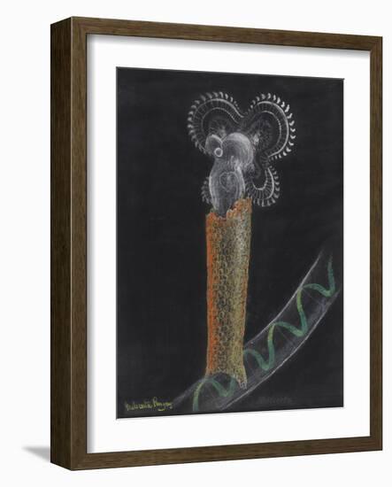 Limnias Melicerta: Rotifer-Philip Henry Gosse-Framed Giclee Print