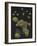 Limnias Melicerta: Rotifer-Philip Henry Gosse-Framed Giclee Print