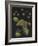 Limnias Melicerta: Rotifer-Philip Henry Gosse-Framed Giclee Print