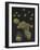 Limnias Melicerta: Rotifer-Philip Henry Gosse-Framed Giclee Print