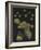 Limnias Melicerta: Rotifer-Philip Henry Gosse-Framed Giclee Print