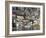 Limone Del Garda, Lake Garda, Lombardy, Italian Lakes, Italy, Europe-Sergio Pitamitz-Framed Photographic Print