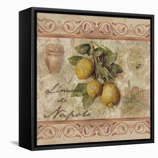 Limonidi Napoli-Thomas L. Cathey-Framed Stretched Canvas