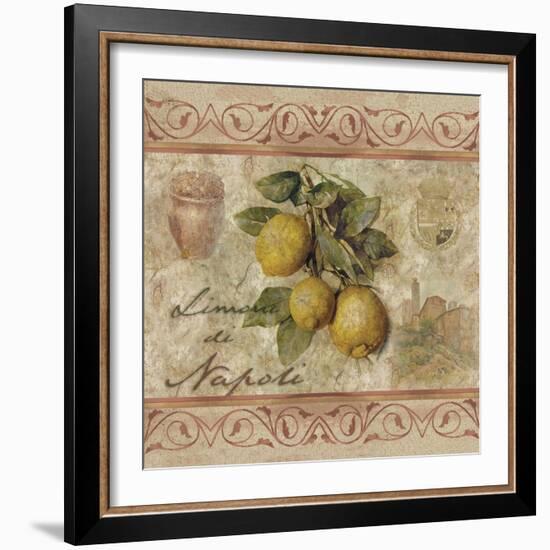 Limonidi Napoli-Thomas L. Cathey-Framed Art Print
