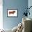 Limousin Bull, Beef Cattle, Mammals-Encyclopaedia Britannica-Framed Art Print displayed on a wall