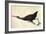 Limpkin-John James Audubon-Framed Art Print