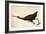 Limpkin-John James Audubon-Framed Art Print