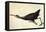 Limpkin-John James Audubon-Framed Stretched Canvas