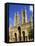 Lincoln Cathedral, Lincoln, Lincolnshire, England-Steve Vidler-Framed Premier Image Canvas