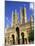 Lincoln Cathedral, Lincoln, Lincolnshire, England-Steve Vidler-Mounted Photographic Print