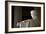 Lincoln Memorial in Washington, DC-Paul Souders-Framed Photographic Print