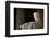 Lincoln Memorial in Washington, DC-Paul Souders-Framed Photographic Print