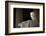 Lincoln Memorial in Washington, DC-Paul Souders-Framed Photographic Print