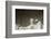 Lincoln Memorial in Washington, DC-Paul Souders-Framed Photographic Print