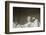 Lincoln Memorial in Washington, DC-Paul Souders-Framed Photographic Print