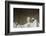 Lincoln Memorial in Washington, DC-Paul Souders-Framed Photographic Print