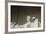 Lincoln Memorial in Washington, DC-Paul Souders-Framed Photographic Print