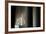 Lincoln Memorial, Washington, DC-Paul Souders-Framed Photographic Print