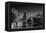 Lincoln Park Lagoon Chicago BW-Steve Gadomski-Framed Premier Image Canvas