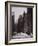 Lincoln's Inn, Old Square, Holborn, London, 1867-Henry Dixon-Framed Photographic Print