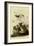 Lincoln's Sparrows-John James Audubon-Framed Giclee Print