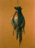 Pheasants, 1984-Lincoln Taber-Mounted Giclee Print
