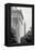 Lincoln Washington Memorials II-Jeff Pica-Framed Premier Image Canvas