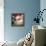 Lincoln-Jason Bullard-Framed Premier Image Canvas displayed on a wall