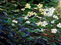 Flowers in stream-Linda Arthurs-Giclee Print