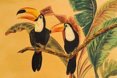 Tropical Toucans II-Linda Baliko-Art Print