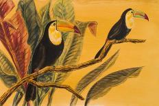 Tropical Toucans II-Linda Baliko-Art Print