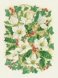 Christmas Roses, 1997-Linda Benton-Giclee Print