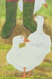Ducks and Green Wellies-Linda Benton-Giclee Print