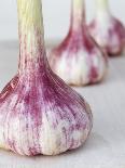 Three Fresh Garlic Bulbs-Linda Burgess-Photographic Print