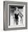 Linda Evans - Dynasty-null-Framed Photo